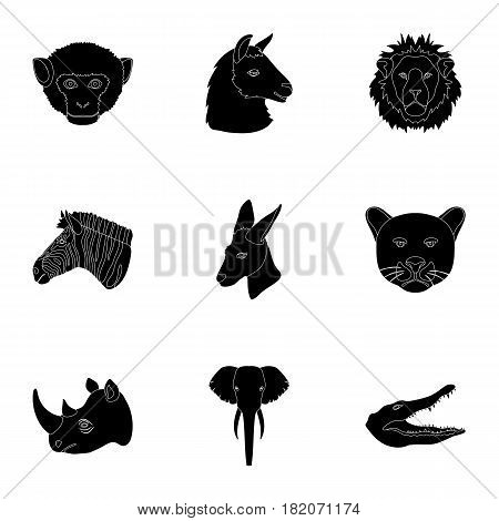A set of icons of wild animals. Predatory and peaceful wild animals.Realistic animal icon in set collection on black style vector symbol stock web illustration.