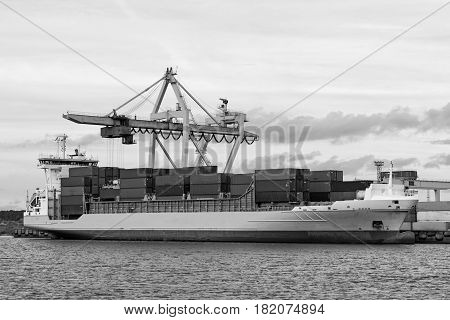 Maritime transportation industry. Container transshipment at port.