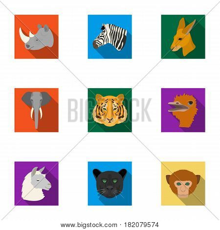 A set of icons of wild animals. Predatory and peaceful wild animals.Realistic animal icon in set collection on flat style vector symbol stock web illustration.