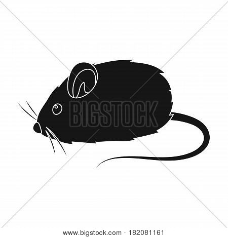 Mouse toy.Pet shop single icon in black style vector symbol stock illustration .