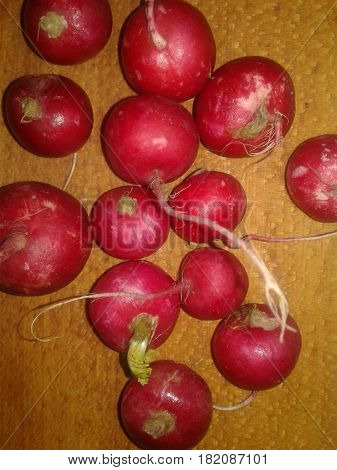 Radish  the most precocious and early spring vegetables with bright color and slightly burning taste that give mustard oil