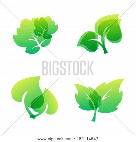 Green leaf eco design element icon friendly nature elegance symbol and decoration floranatural element ecology organic vector illustration. Abstract bio foliage decorative flora.