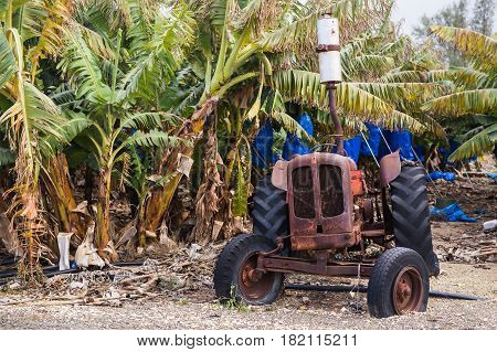 industrial agricultural scene of abandoned old rusted and dusty tractor.