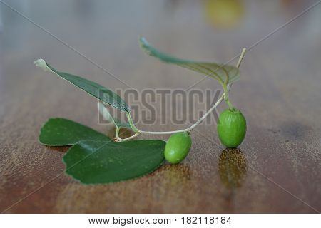 close up fresh Indian jujube is the testy tropical fruit