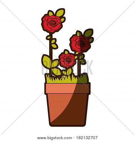 colorful shading silhouette flowered roses planted with leaves in plantpot vector illustration