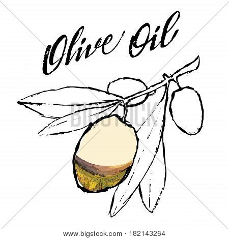 Set of hand drawn vector illustration and lettering olive oil olive branch and bottle for olive oil labels restaurant natural products. perfect stickers and badges for your business