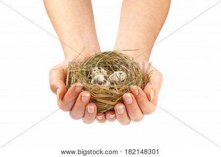 Young woman holding birds nest over white background