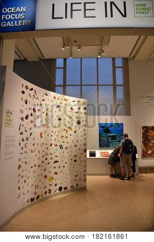 WASHINGTON, DC - APR 15: National Museum of Natural History in Washington, DC, as seen on April 15, 2017. It is administered by the Smithsonian Institution.