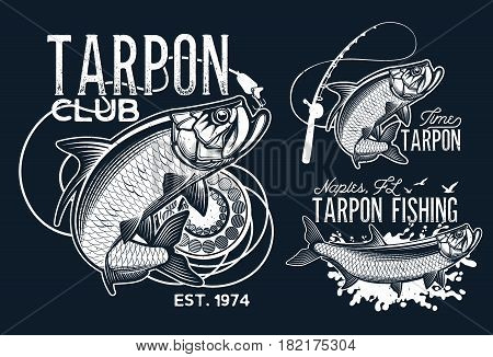 Vintage tarpon fishing emblems, labels and design elements