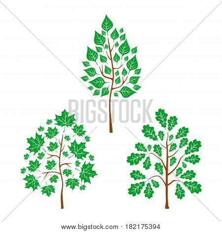 Vector flat trees on white background. Logo design illustration