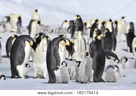Snow Hill October 14 to 26, Antarctica 2010 on icebreaker Kapitan Khlebnikov