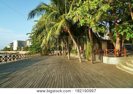 Morning tourist embankment with palm trees along the beach at Dadonghai Bay on Hainan Island, China