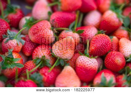 red pink sweet strawberry photo for sale