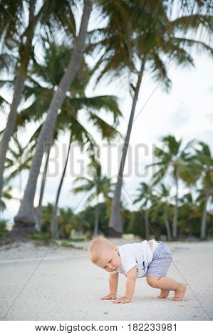 Adorable toddlerboy crawling in a tropic park. Cute little boy learning to walk outside on the sandy ocean beach. Small child near palms.