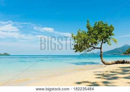 Tropical Landscape Of Koh Chang