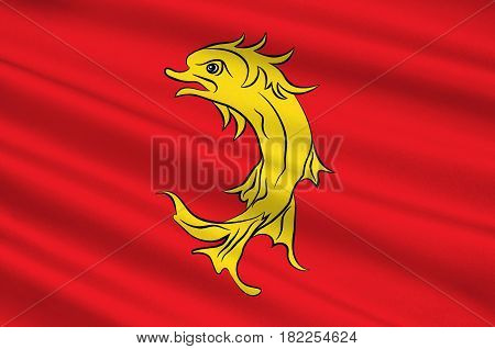 Flag of Loire is a department in the east-central part of France. 3d illustration