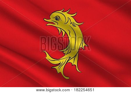 Flag of Loire is a department in the east-central part of France. 3d illustration