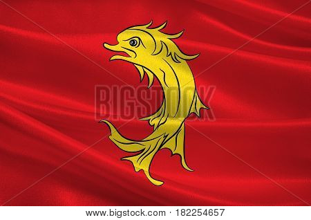 Flag of Loire is a department in the east-central part of France. 3d illustration