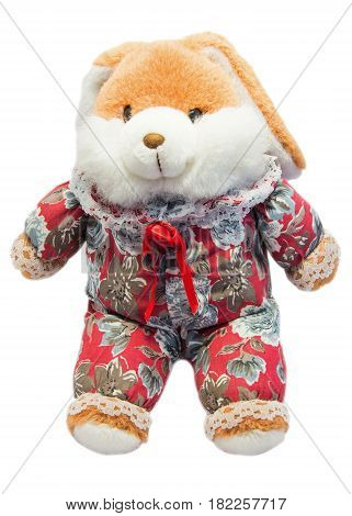 Funny stuffed bunny isolated on white bacground