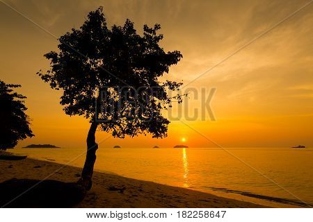 Tropical Landscape Of Koh Chang