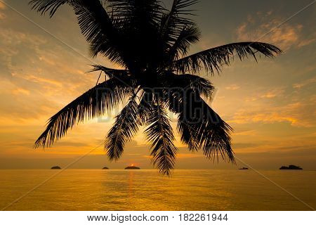 Tropical Landscape Of Koh Chang
