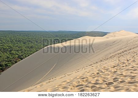 Sand dunes of the Dune de Pilat, France