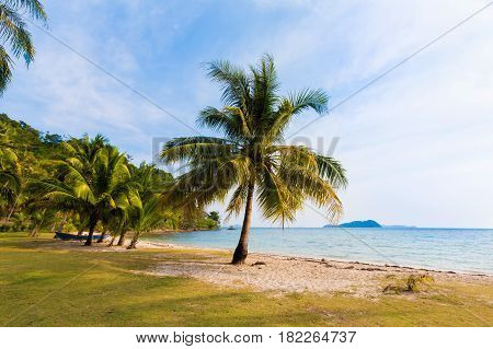 Tropical Landscape Of Koh Chang