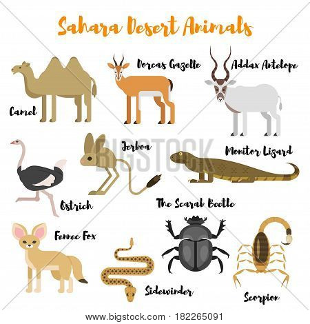Vector flat style set of desert wild animals. Icon for web. Isolated on white background.