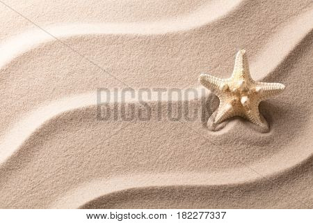Starfish or sea star fish on the rippled sand of a tropical beach.