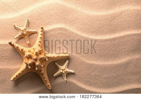 Star fish or sea star in the rippled beach sand. Texture background with starfish.