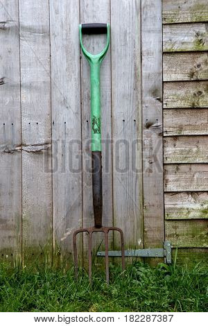 Old gardening fork leaning against an old timber shed