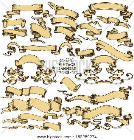 vintage hand drawn ribbon flag or banner element for book or other old looking design. engraved calligraphic part for your sign.