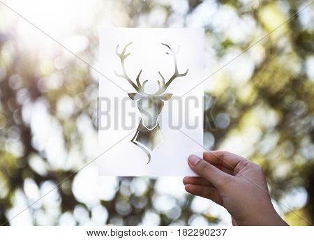 Hand Hold Deer with Antlers Paper Carving with Nature Background