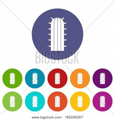 Cactus plant icons set in circle isolated flat vector illustration