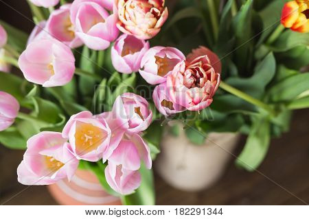 Pink tulips on the wooden background. Pink tulip. Tulips. Flowers. Flower background. Flowers photo concept. Colored tulips. Petals. Narcissus