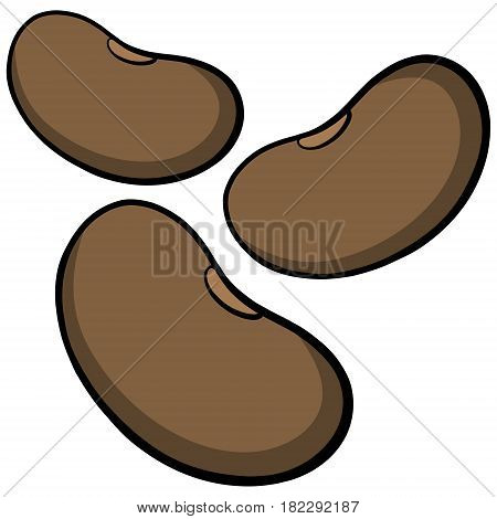 A vector illustration of some pinto Beans.
