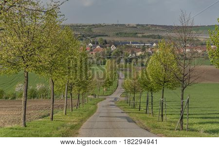 Palava area in spring sunny day between Popice and Dolni Vestonice villages
