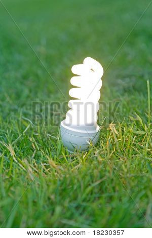 lampadina risparmio energetico sull'erba.