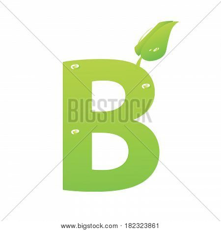 Green eco letter B vector illiustration on white