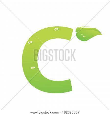 Green eco letter C vector illiustration on white