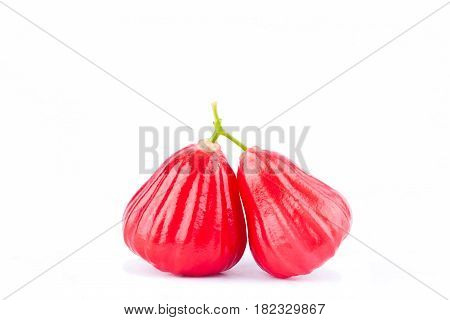 red rose apple or bell fruit  on white background healthy rose apple fruit food isolated