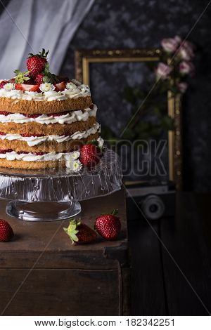 Angel Food Cake With Fresh Berries