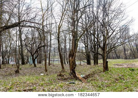 Abandoned park in the center of the city in early spring in warm sunny weather