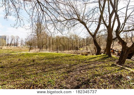 Abandoned park in the center of the city in early spring in warm sunny weather