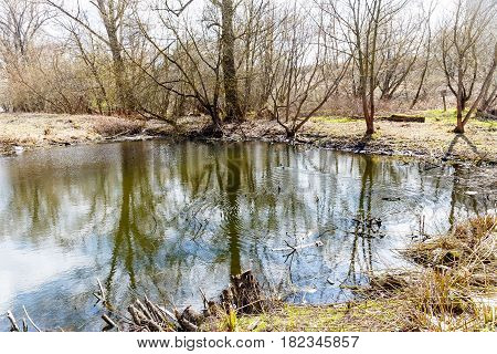 Abandoned park in the center of the city in early spring in warm sunny weather