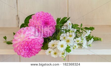 Pretty pink dahlias and white feverfew laying on a shelf.