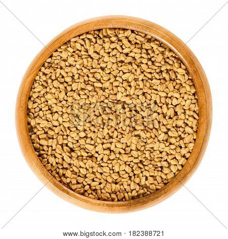 Fenugreek seeds in wooden bowl. Triginella foenum graecum. Used for sprouting and germinating with water in a jar for consumption. Isolated macro food photo close up from above on white background.