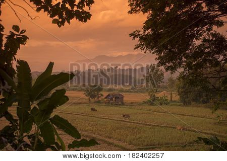 Thailand Lampang Jaesorn Landscape