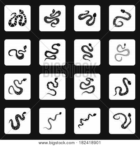 Snake icons set in white squares on black background simple style vector illustration