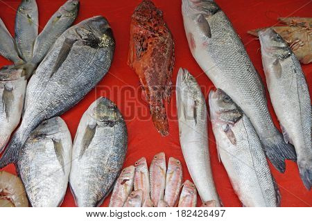 Sea fish is freshly caught and sold on food stalls